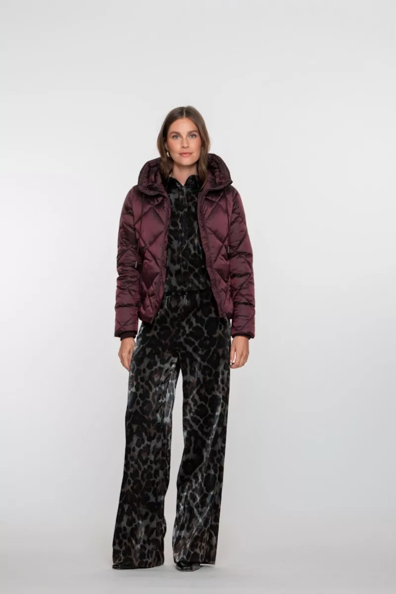 GEISHA-Short jacket with hood-58528-21-485 port-ROOD