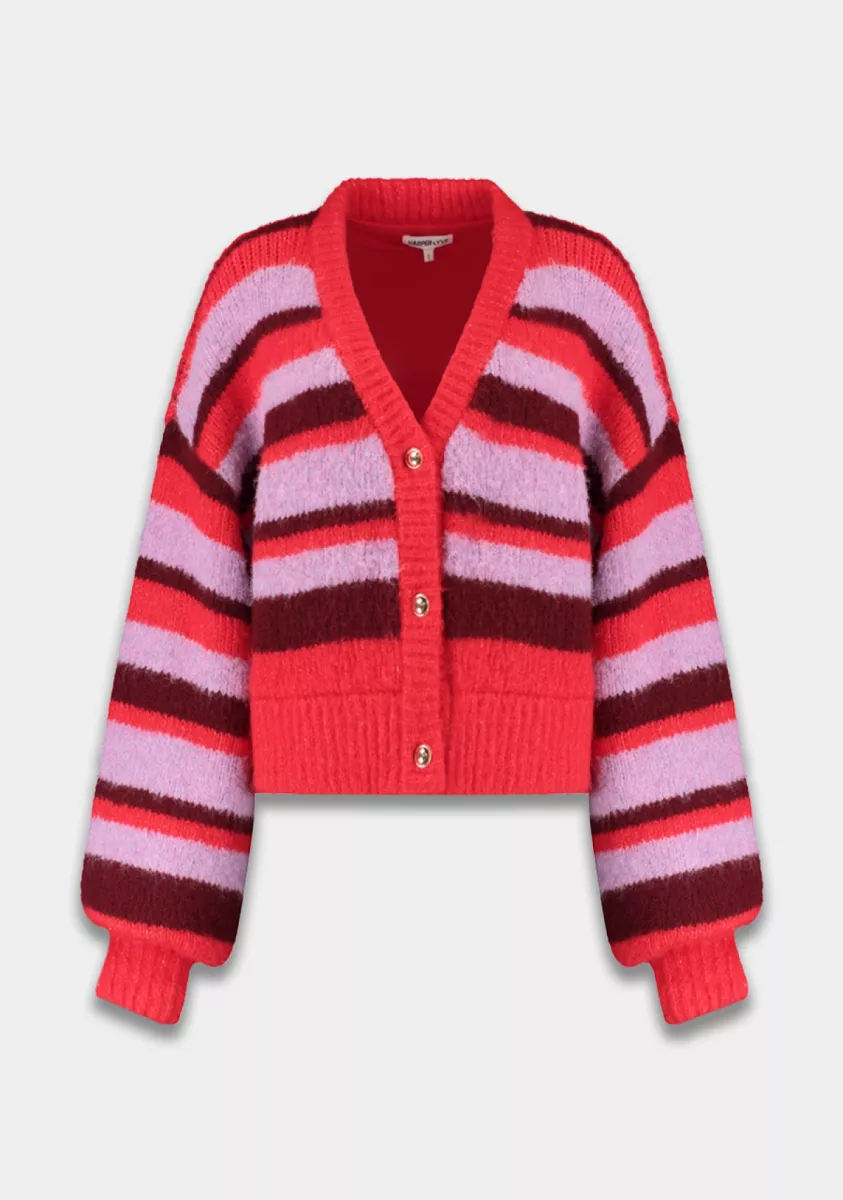 Harper & Yve-Noor-AW25W800-1263 Stripe Multi Lila Love-ROOD COMBINATIES