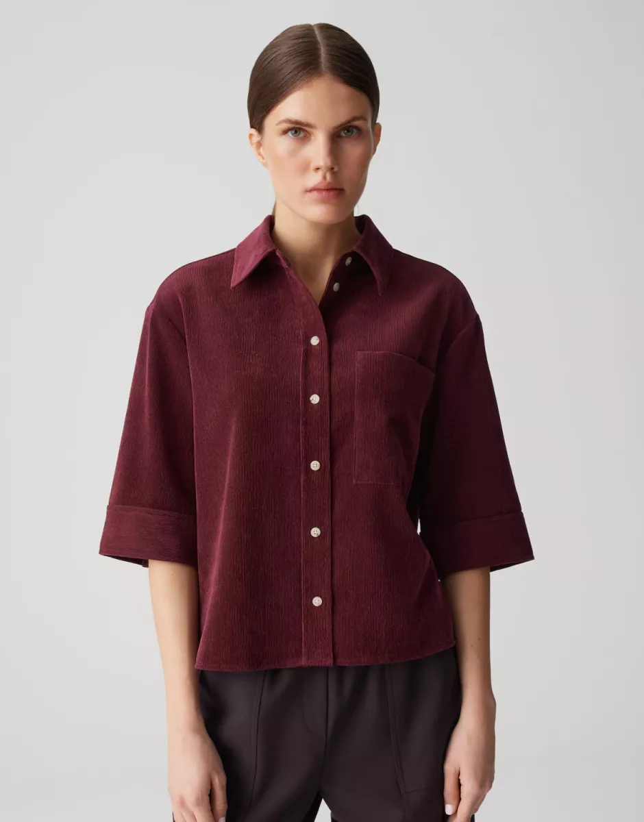 Opus-Faisa-1044165282100-40036-PAARS