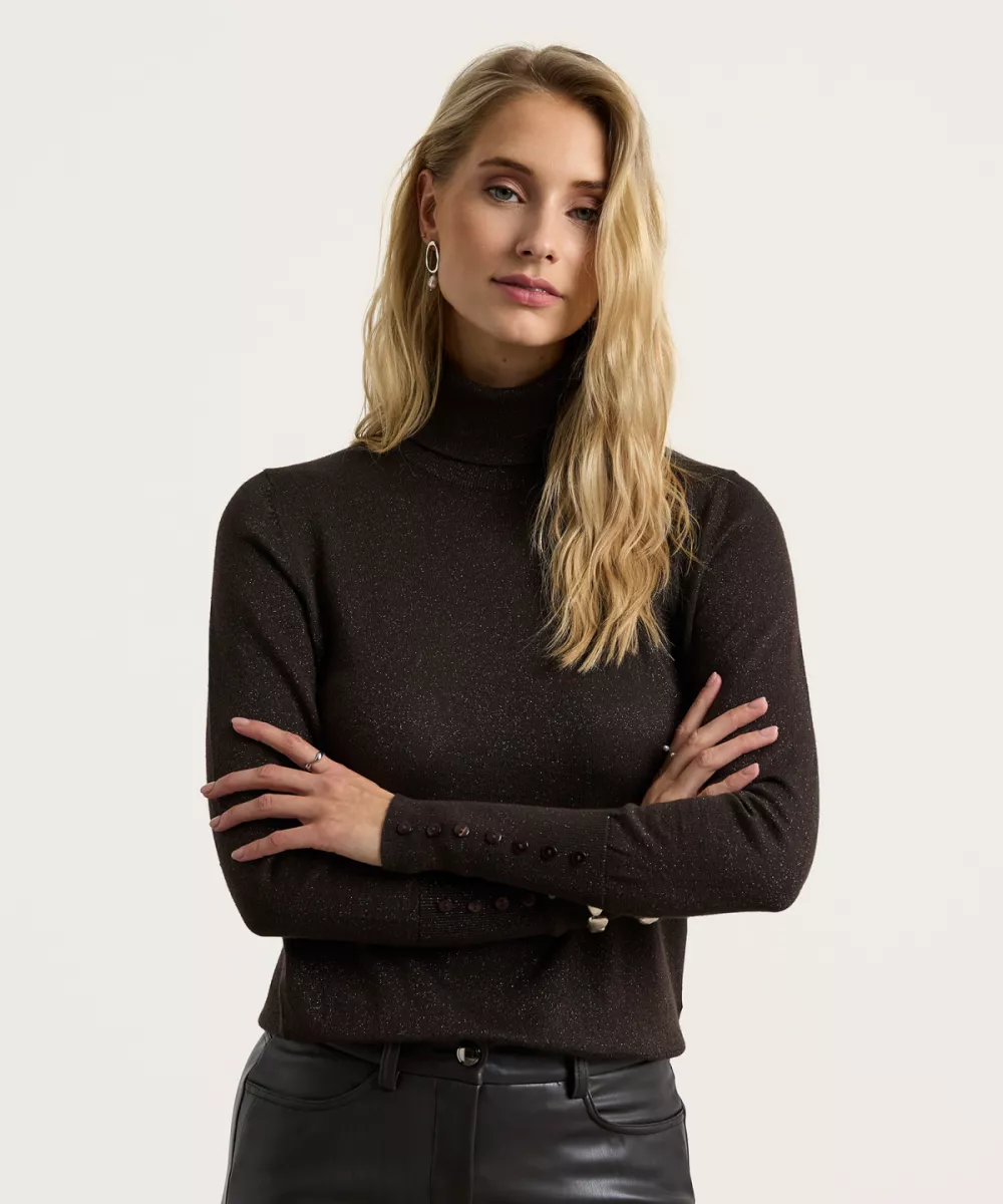 EMOTIONS-Rollneck pullover IS lurex-225105-908 Choco-BRUIN