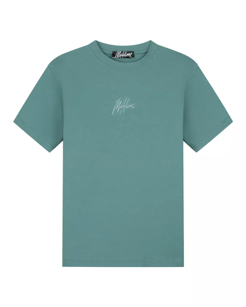 MALELIONS-malelions men striped signature t-shirt-MM1-AW25-03-400 Green-GROEN