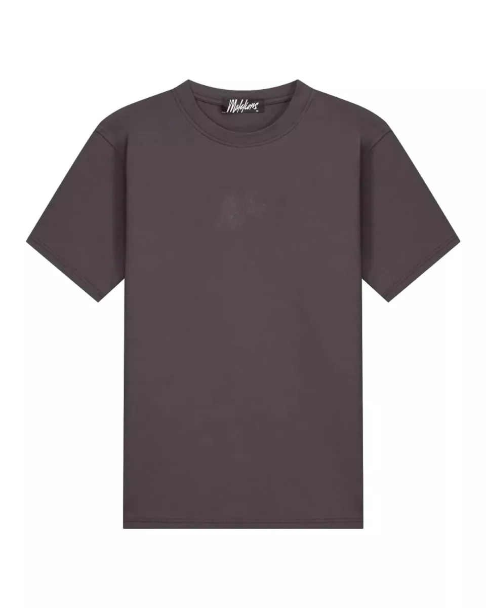 MALELIONS-malelions men striped signature t-shirt-MM1-AW25-03-696 Mulch brown-BRUIN