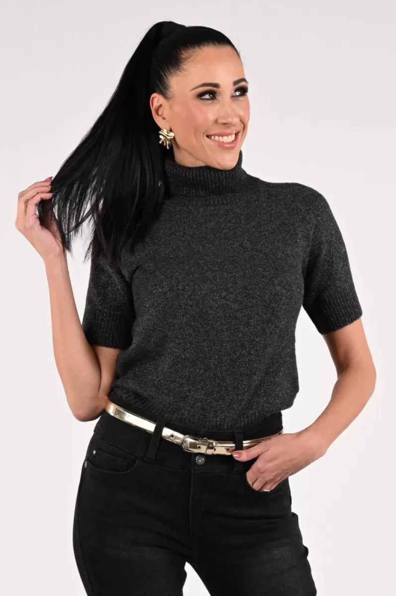EMOTIONS-Pullover rollneck ss lurex-225113L-212 Antra mel-ANTRACIET