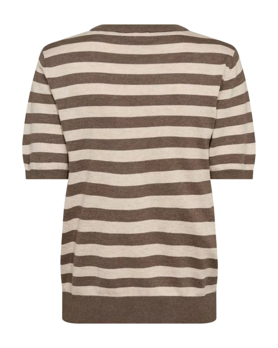 freequent-joel-204793-morel-with-moonbeam-zand-4 Freequent-Joel-204793-Morel With Moonbeam-ZAND