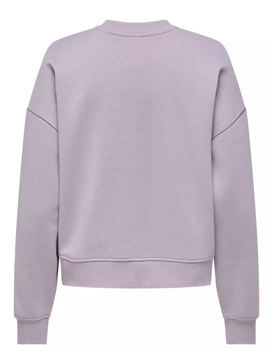 ONLY-ONLBEST L/S PRINT CREW NECK SWT-15357681-Nirvana-BRUIN