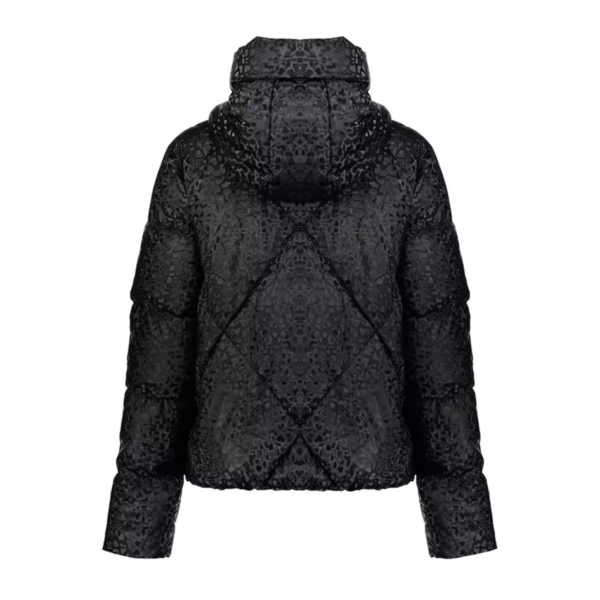 GEISHA-Jacket leopard-58548-21-999 Black-ZWART