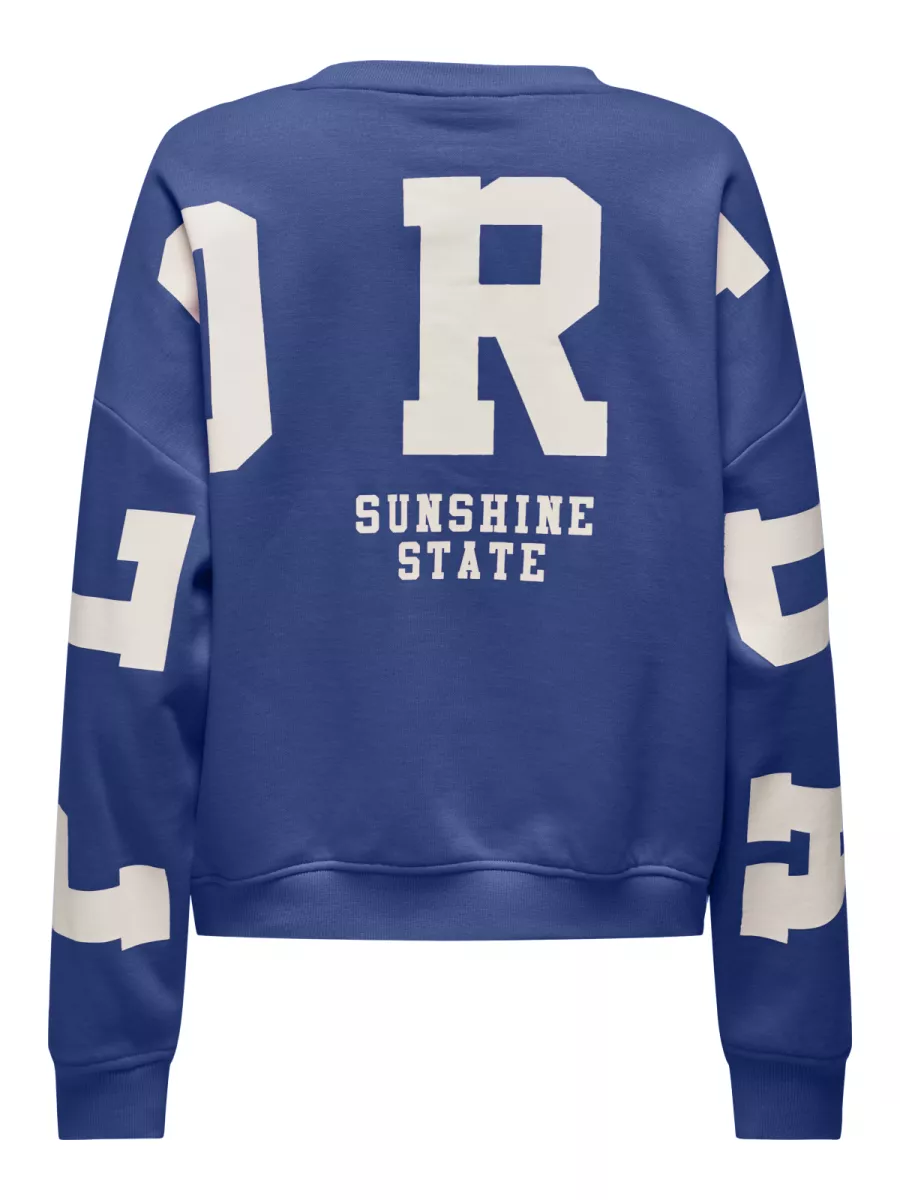 ONLY-ONLSWEAT L/S BACK/SLEEVE PRINT SWT-15356793-Surf The Web-BLUE