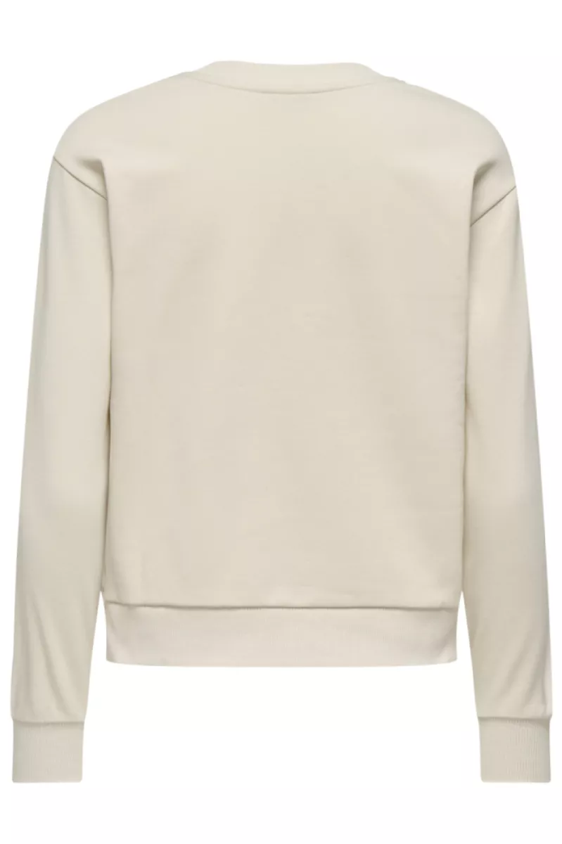 jdy-jdyparis-l-s-emb-sweat-jrs-15221015-whitecap-gray-grijs-melee-3 JDY-JDYPARIS L/S EMB SWEAT JRS-15221015-Whitecap Gray-GRIJS MELEE