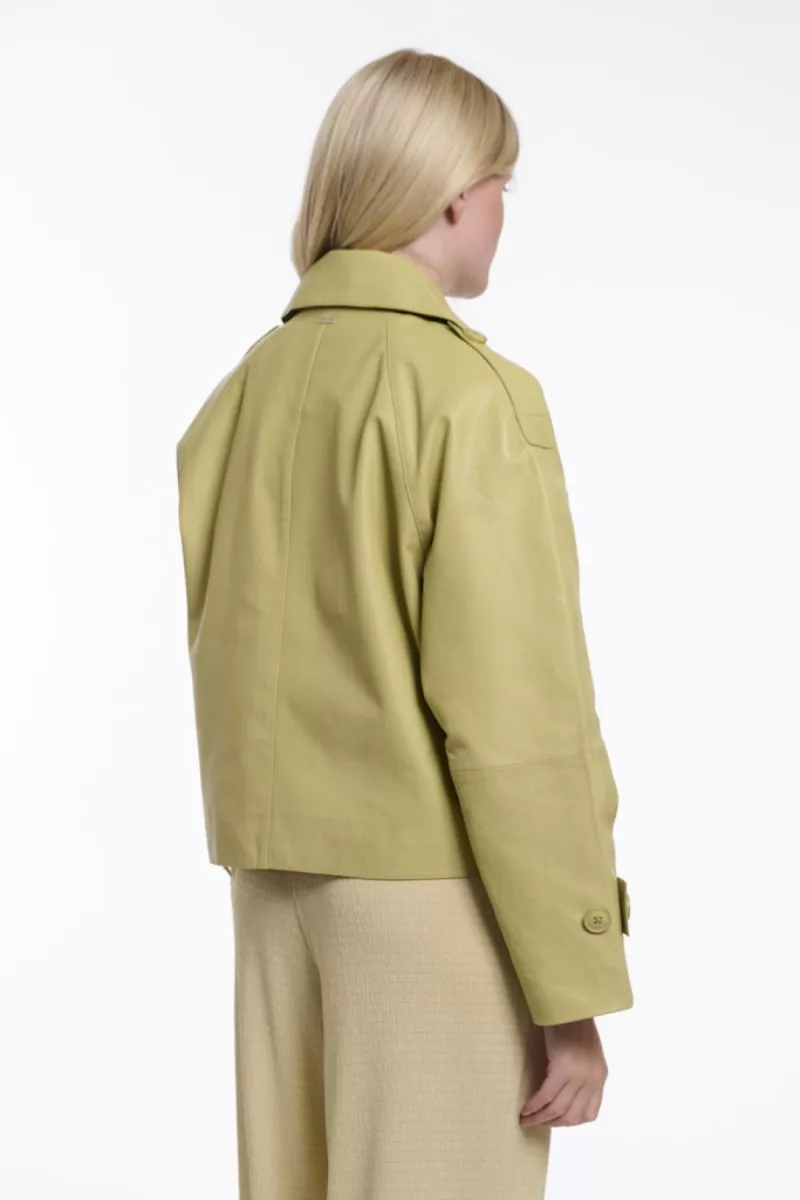 RINO & PELLE--Lotte.3502621-11020 Green Curry-GROEN