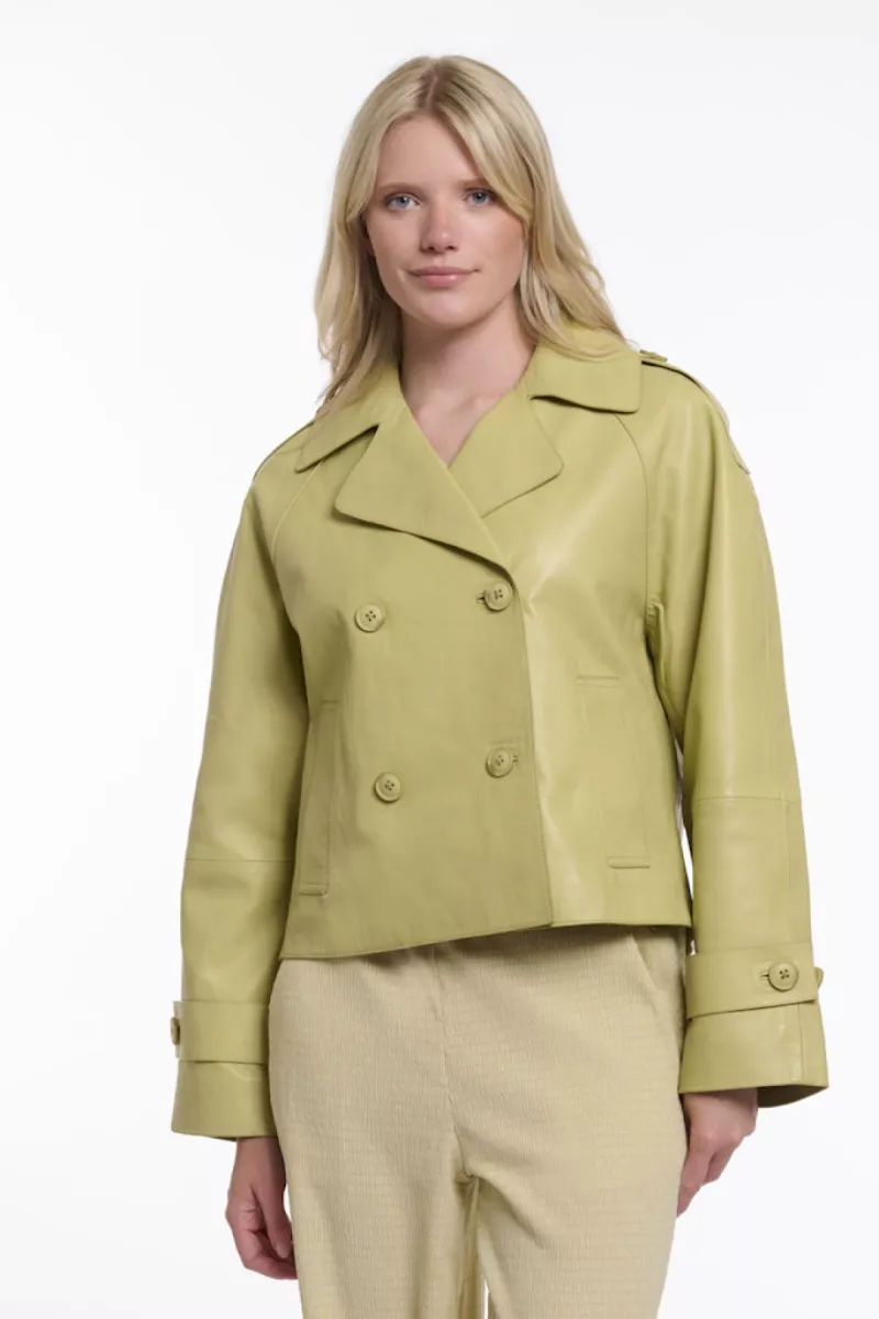 RINO & PELLE--Lotte.3502621-11020 Green Curry-GROEN