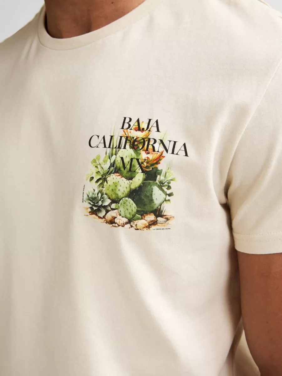 petrol-industries-men-t-shirt-ss-m-1060-tsr688-0112-seashell-off-white-5 PETROL INDUSTRIES-Men T-Shirt SS-M-1060-TSR688-0112 Seashell-OFF WHITE