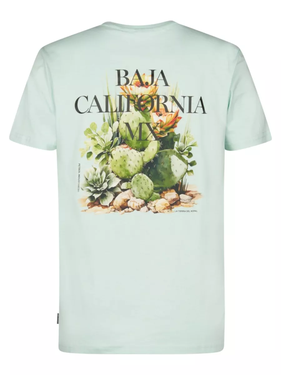 petrol-industries-men-t-shirt-ss-m-1060-tsr688-6181-cool-mint-mint-groen-10 PETROL INDUSTRIES-Men T-Shirt SS-M-1060-TSR688-6181 Cool mint-MINT GROEN