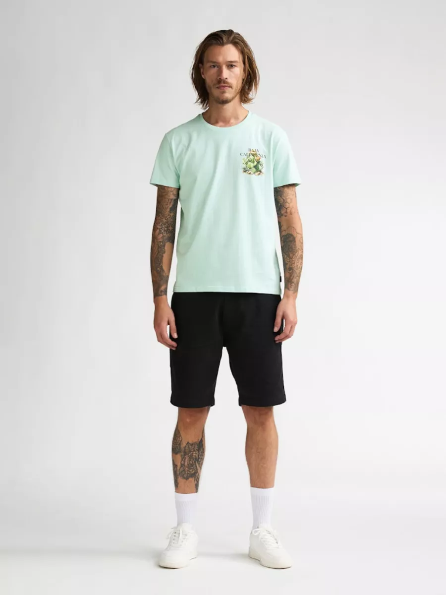 petrol-industries-men-t-shirt-ss-m-1060-tsr688-6181-cool-mint-mint-groen-2 PETROL INDUSTRIES-Men T-Shirt SS-M-1060-TSR688-6181 Cool mint-MINT GROEN