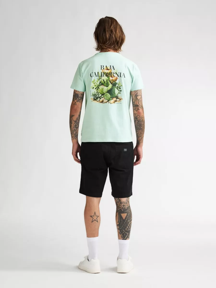 petrol-industries-men-t-shirt-ss-m-1060-tsr688-6181-cool-mint-mint-groen-8 PETROL INDUSTRIES-Men T-Shirt SS-M-1060-TSR688-6181 Cool mint-MINT GROEN