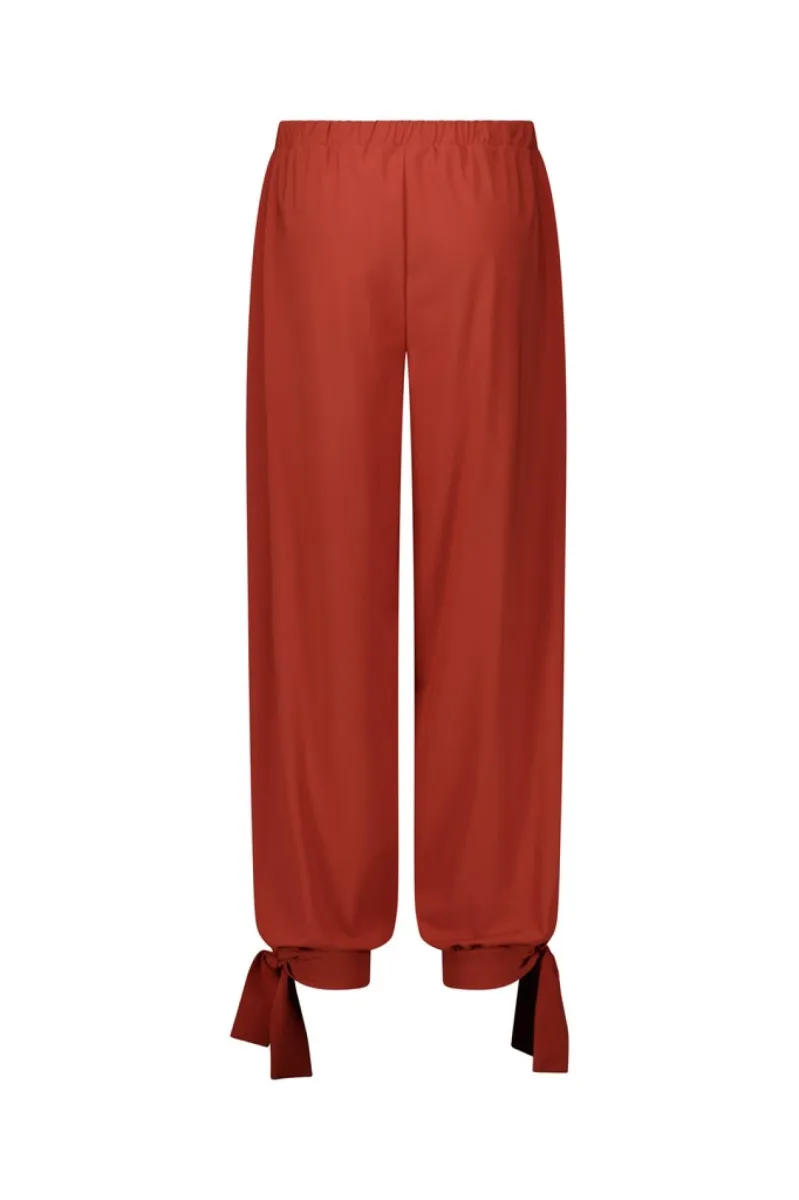 studio-anneloes-darie-balloon-trousers-14030-3301-rust-roest-3 STUDIO ANNELOES-Darie balloon trousers-14030-3301 Rust-ROEST