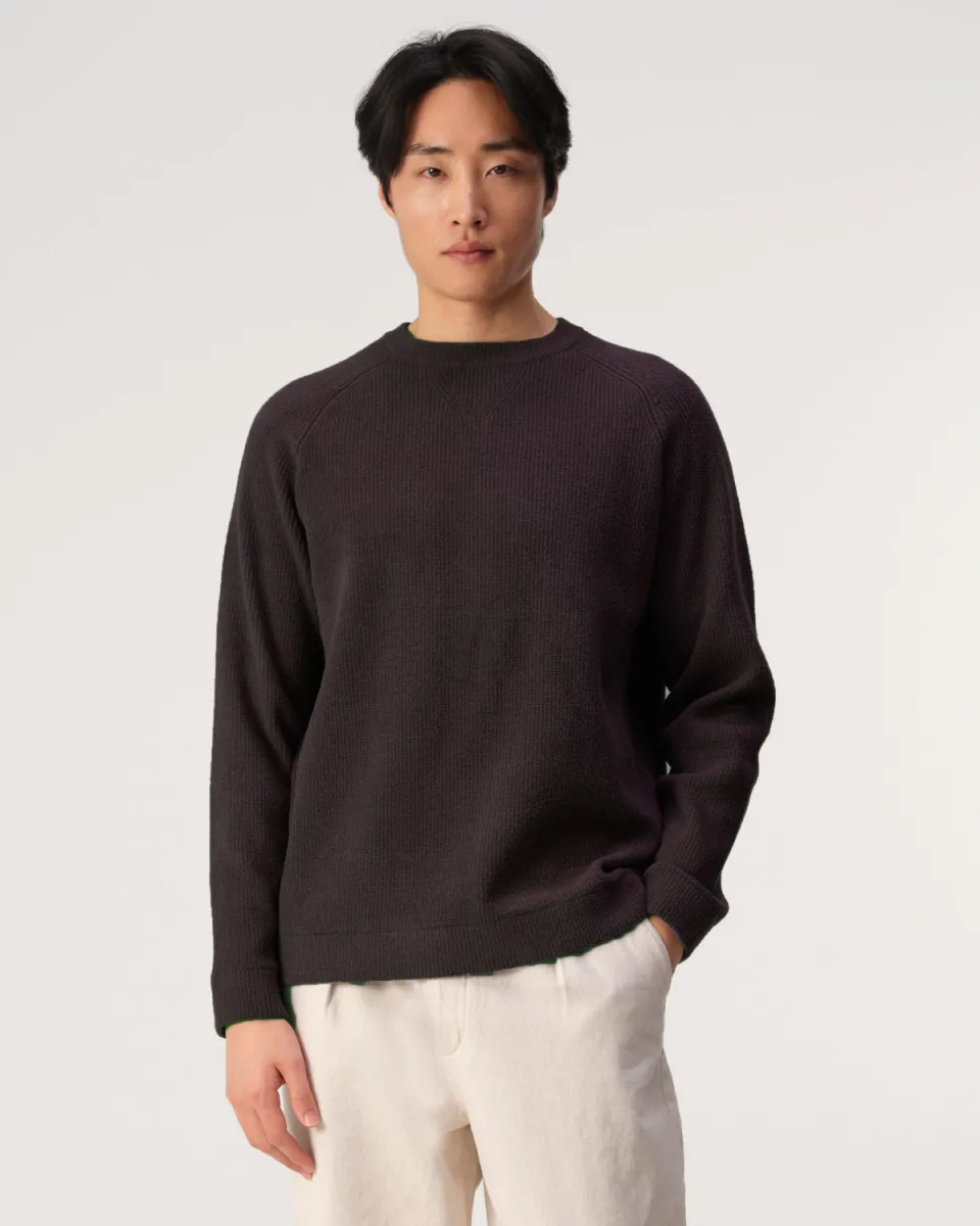 JC RAGS-Eddy-107873-8901 Mole dark brown-DONKER BRUIN