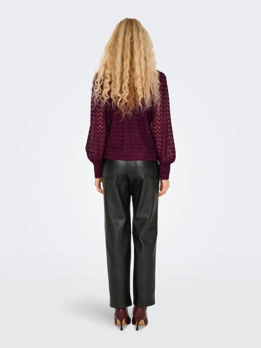 jdy-jdyavery-l-s-lace-top-jrs-noos-15268408-fig-bordeaux-2 JDY-JDYAVERY L/S LACE TOP JRS NOOS-15268408-Fig-BORDEAUX