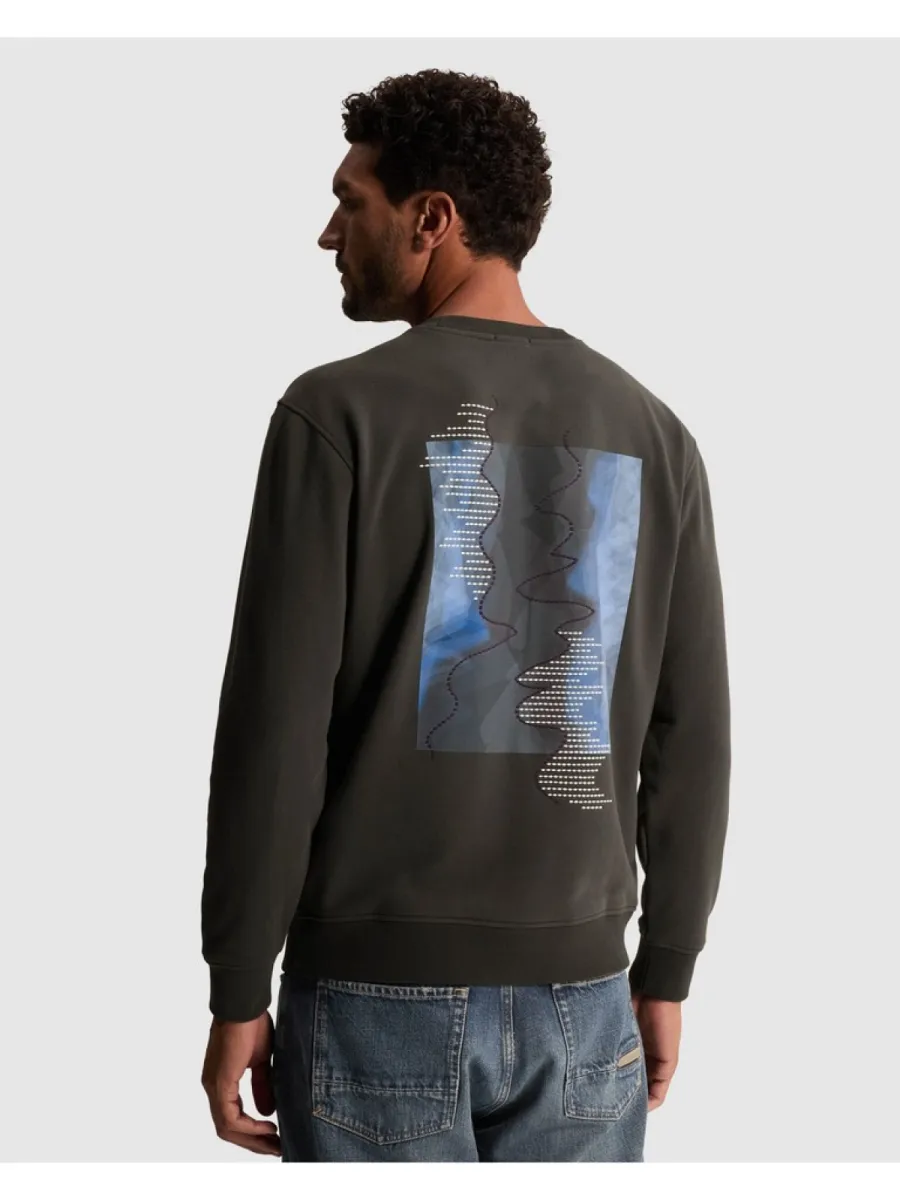 cast-iron-crewneck-relaxed-fit-graphic-csw2609445-9167-clever-crows-grijs-5 CAST IRON-Crewneck relaxed fit graphic-CSW2609445-9167 Clever crows-GRIJS