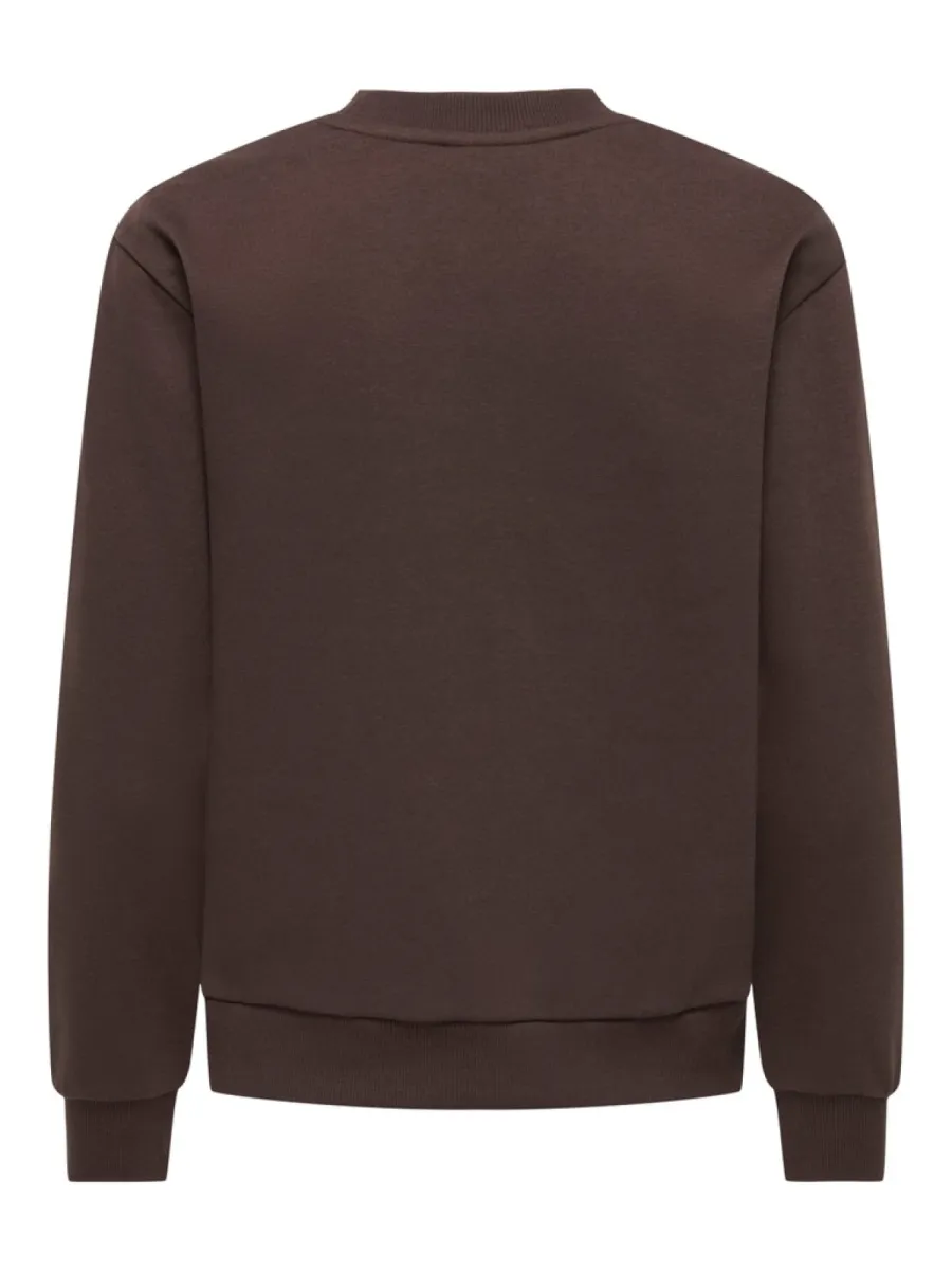 jdy-jdyparis-l-s-emb-sweat-jrs-noos-15221015-coffee-bean-cafe-7 JDY-JDYPARIS L/S EMB SWEAT JRS NOOS-15221015-Coffee Bean-CAFE
