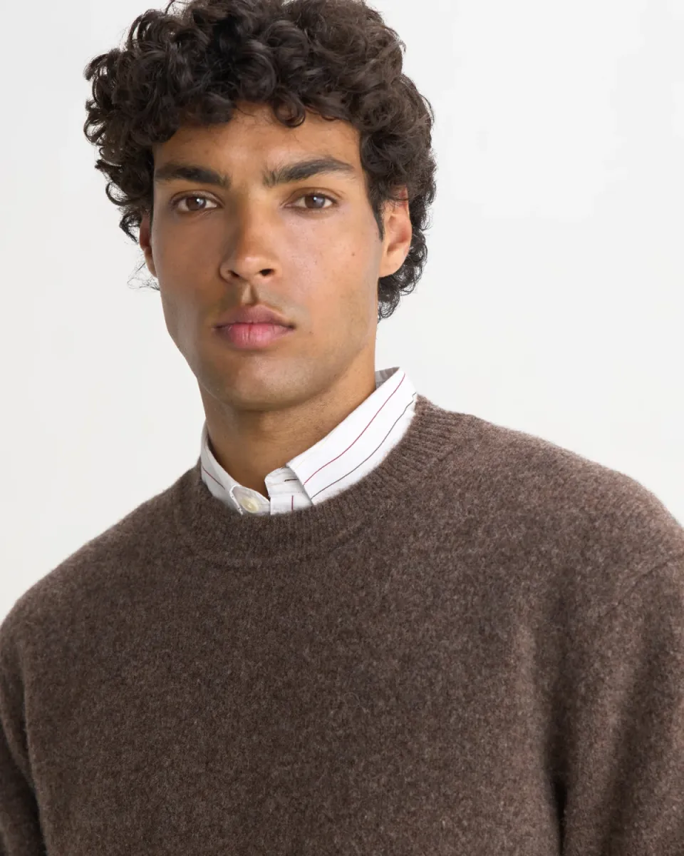 Wax London--Wilde crew-Choclate brown-CHOCOLADE