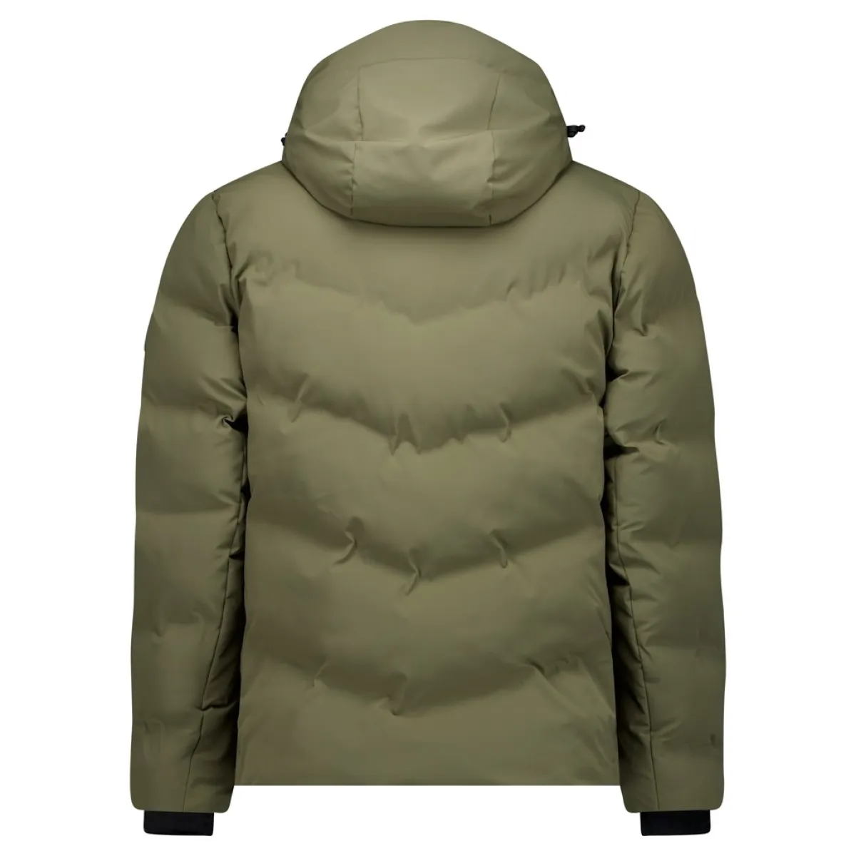 CARS-Ylan-62657-18 Olive-OLIJF