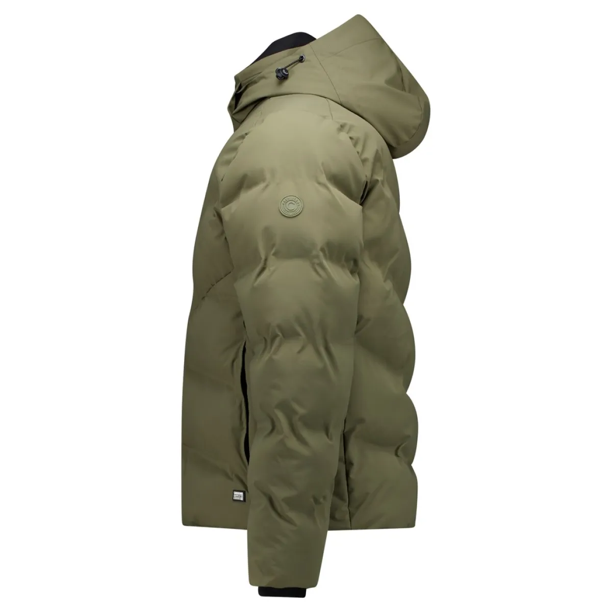 cars-ylan-62657-18-olive-olijf-2 CARS-Ylan-62657-18 Olive-OLIJF